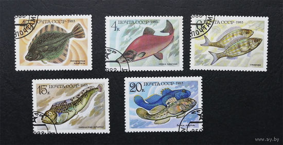 СССР 1983 г. Промысловые рыбы. Морская фауна, полная серия из 5 марок #0009-Ф1P2