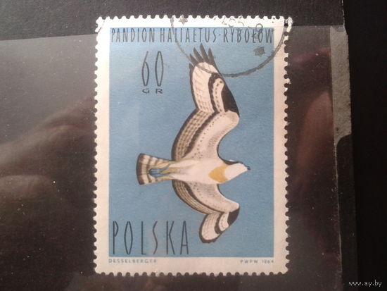 Польша 1964 Птица