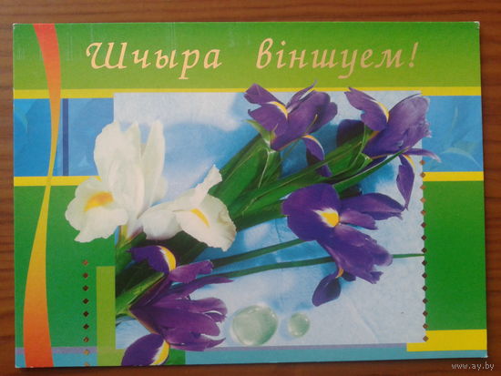 Беларусь 2004 маркированная ПК Поздравляем!