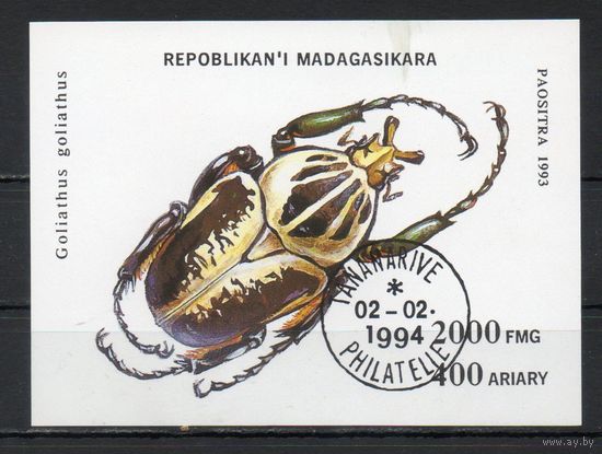 Жуки Мадагаскар 1994 год 1 блок
