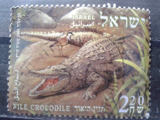 Израиль 2005 Нильский крокодил