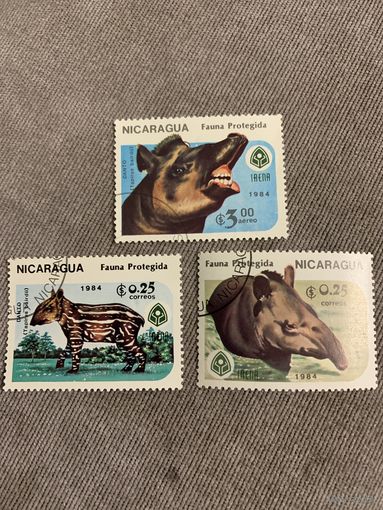 Никарагуа 1984. Тапиры. Полная серия