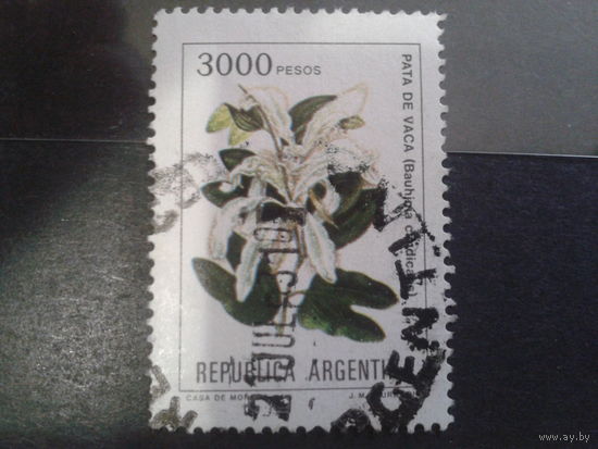 Аргентина 1982 Цветы 3000 песо