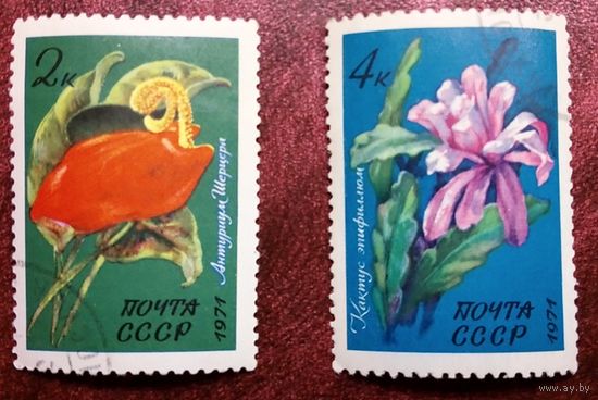 Марки СССР 1971. Тропические растения. 4080-4081. 2 марки из серии.