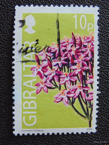 Гибралтар 2004 г. Цветы.