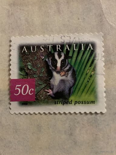Австралия 2003. Апоссум