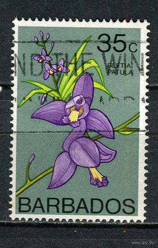 Барбадос - 1974/1979 - Орхидея 35С - [Mi.375X] - 1 марка. Гашеная.  (Лот 91Dh)