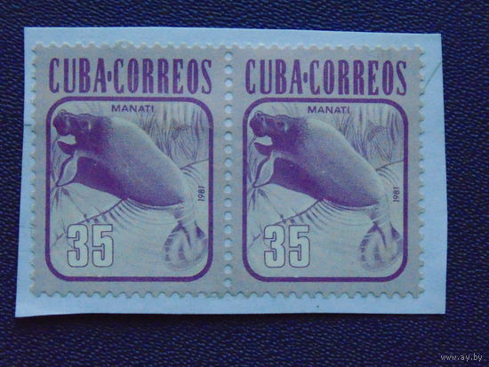 Куба 1981г.  Фауна.