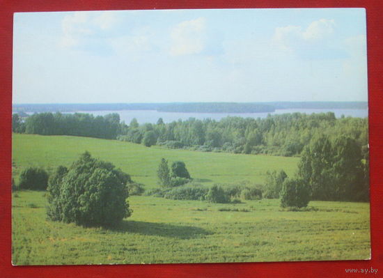 Летний пейзаж. Чистая. 1985 года. Фото Дорожинского. #329.