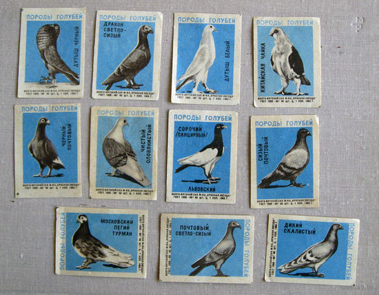 Спичечные этикетки Набор 18 штук Породы голубей 1963 Волго-Вятский СНХ