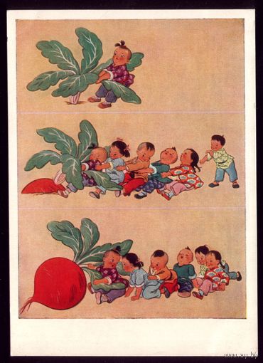 1960 год Тэ Вэй Китайский вариант репки