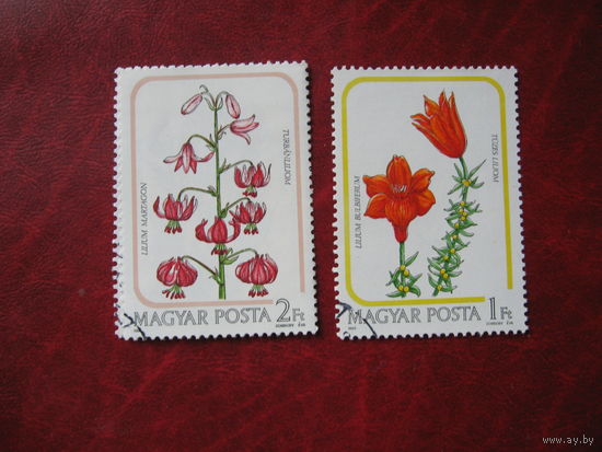 Марка Цветы Венгрия 1985 год