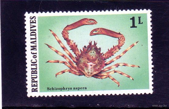 Мальдивы.Ми-780. Серия:Мальдивские крабы и лобстеры.(Schizophrys aspera).1978.
