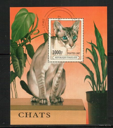 Того-1997 (Мих.Бл.407) , гаш.,  Фауна, Кошки