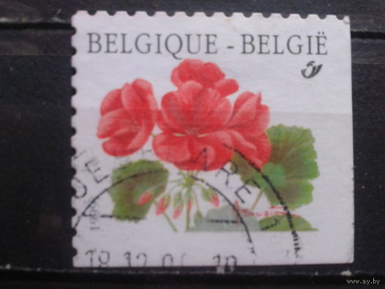 Бельгия 1999 Стандарт, пеларгония, угловая марка в буклете