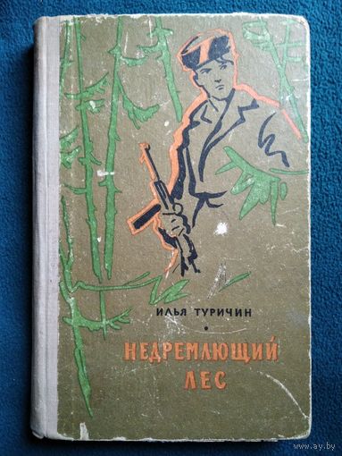 Илья Туричин Недремлющий лес. 1962 год