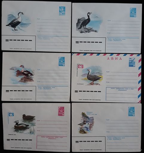 Комплект из шести конвертов СССР  Водоплавающие птицы