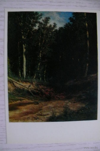 Шишкин И., Ручей в лесу; 1980, чистая.