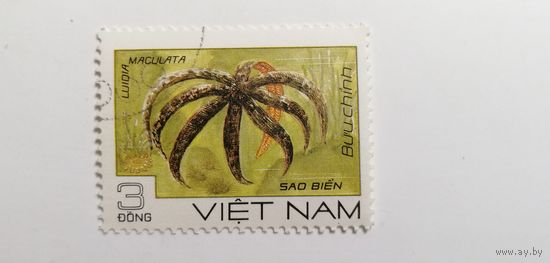 Вьетнам 1985. Морские обитатели.