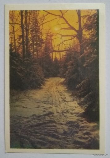 Календарик. Природа. 1988