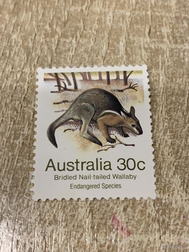 Австралия. Фауна. Wallaby. Марка из серии