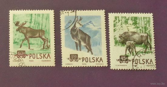 Защита животных. Польша. Дата выпуска:1954-12-22