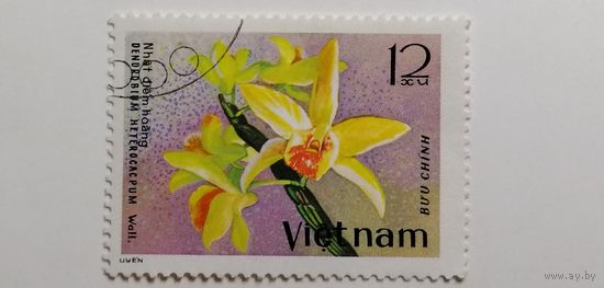 Вьетнам 1979. Орхидеи.