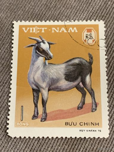 Вьетнам 1979. Домашний скот. Коза. Марка из серии