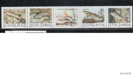 Югославия-1990,(Мих.2405-2408)  ** , Фауна,Рыбы (полная серия)