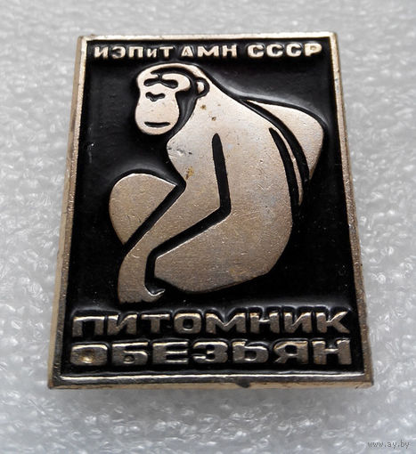 Значок. Питомник обезьян ИЭПиТ АМН СССР U-P04 #0003