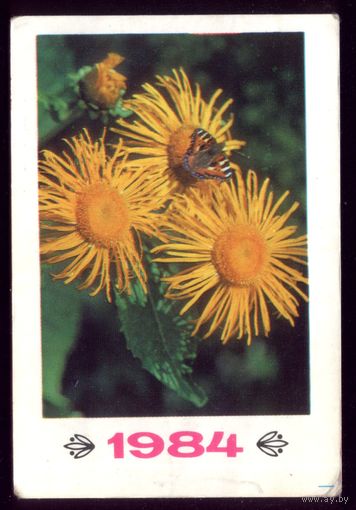 1 календарик Цветы 1984