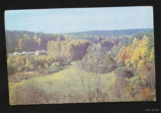 Гайлитис Я. Вид в окресностях Терветского лесного парка. 1975 год. Чистая #0134-V1P67