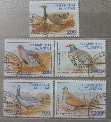 Таджикистан. 1995г. Фауна. Птицы.