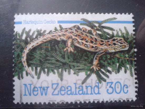 Новая Зеландия 1984 Ящерица