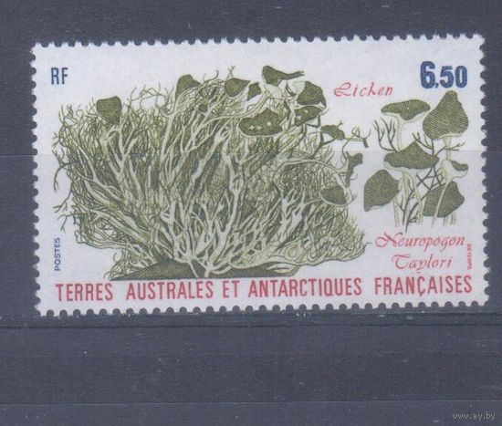 [1104] Французские антарктические территории 1987. Флора.Растения Антарктики.  MNH. Кат.3,60 е.