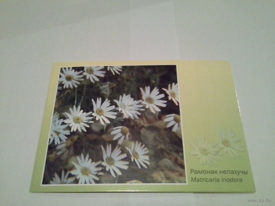 Карточка 2002 цветы