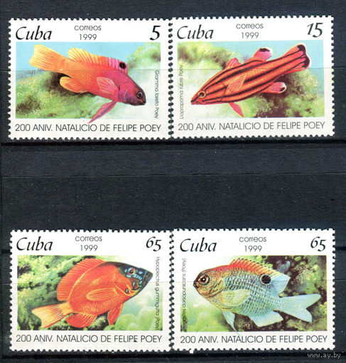 Куба - 1999г. - Рыбки - полная серия, MNH [Mi 4205-4208] - 4 марки