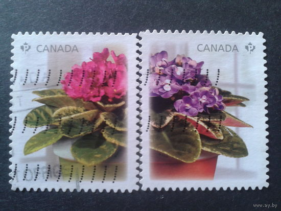 Канада  цветы полная серия