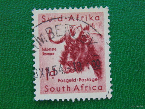 ЮАР 1954г.  Фауна.