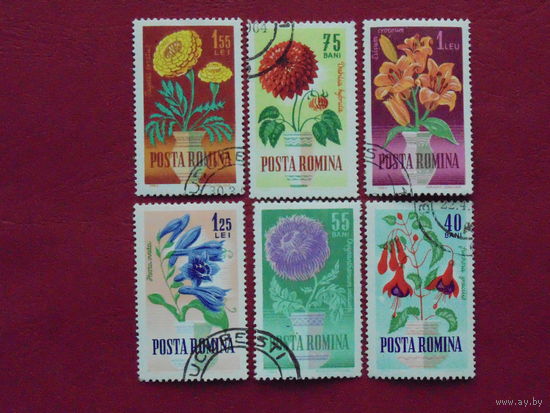 Румыния  1964г. Цветы.