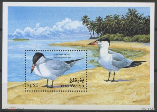 Мальдивы  1993   Каспийская чайка, птицы, флора и фауна,  MNH