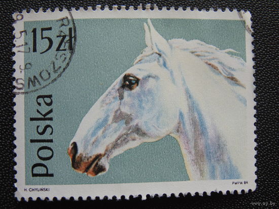 Польша 1989 г. Лошадь.