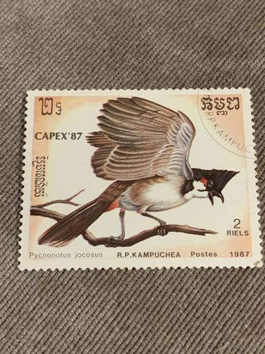 Камбоджа 1987. Птицы. Pycnonotus jocosus. Марка из серии
