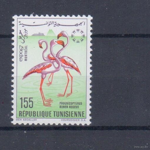 [2201] Тунис 1967. Фауна.Птицы.Экспо-67. MNH