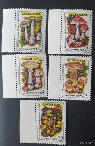СССР 1986 грибы.