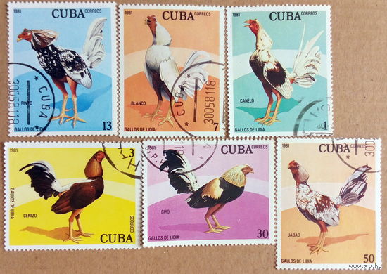 Куба 1981 Боевые петухи полная серия
