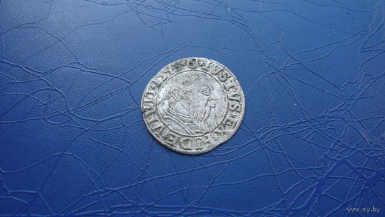 1 грош 1543 Пруссия                                               (2002)