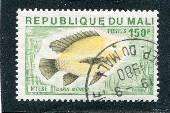 Мали. Рыба Тилапия  140fr