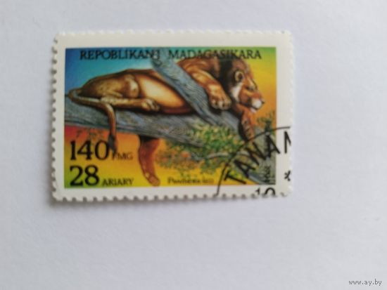 Мадагаскар 1994 лев