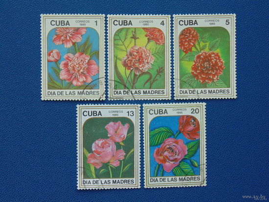 Куба 1985. Цветы. День матери.
